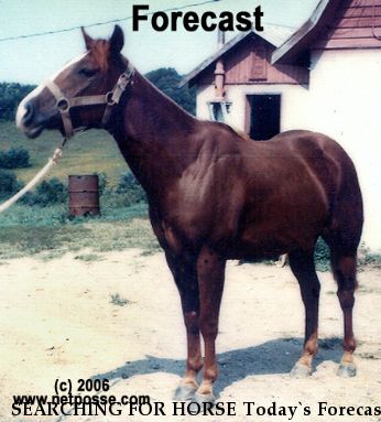 SEARCHING FOR HORSE Today`s Forecast, Near Herndon, VA, 00000